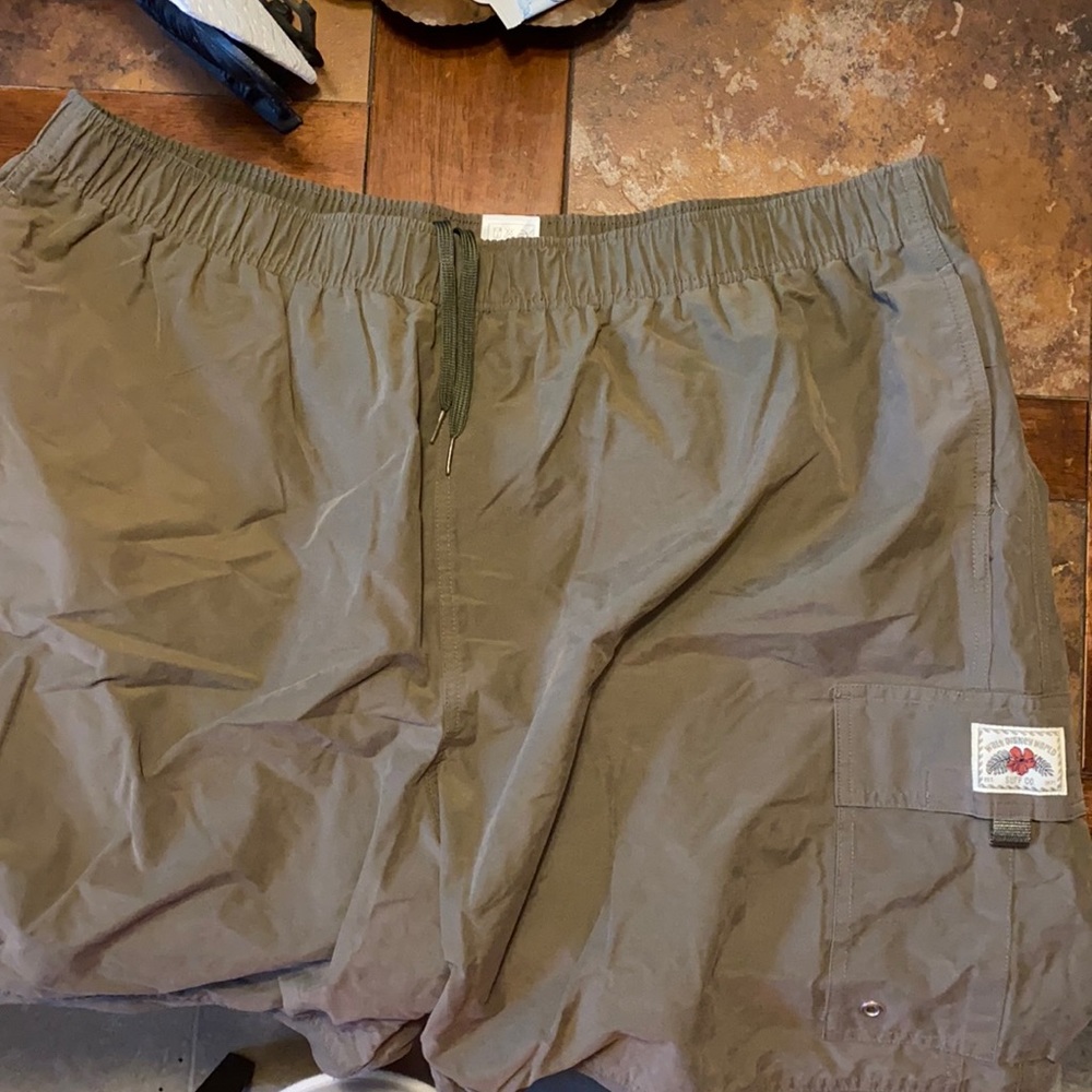 Walt Disney World Men’s Shorts/Trunks (XXXL)